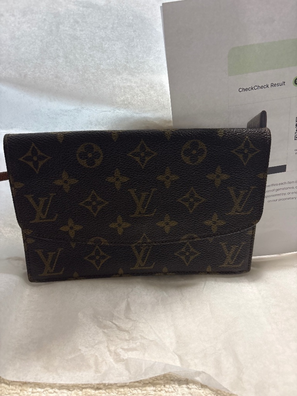 Louis Vuitton Pochette Rabat 20 pouch bag